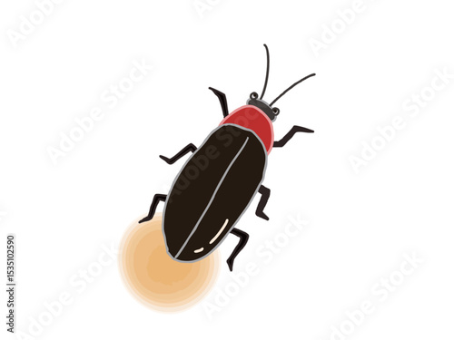 Illustration of a firefly emitting light from its butt