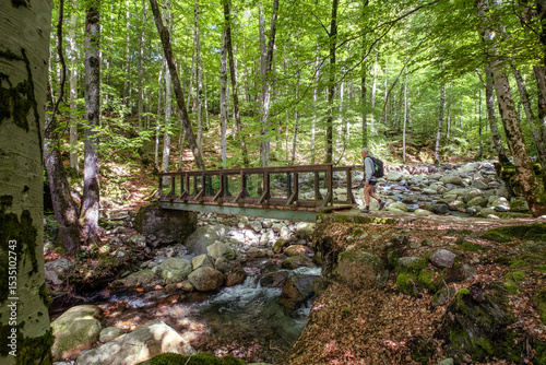 A hiker crosses a wooden bridge over the L'Agnone river in the lush forest of Vizzavona on the GR20 trail on the Mediterranean island of Corsica