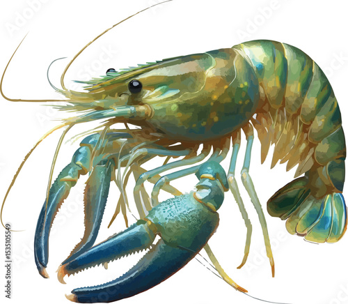 Freshwater Prawn