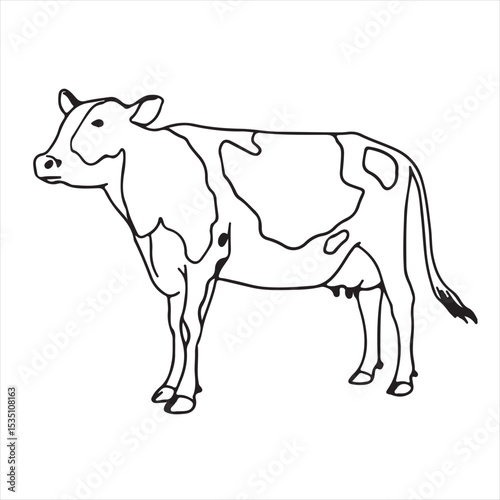black horse vector illustration