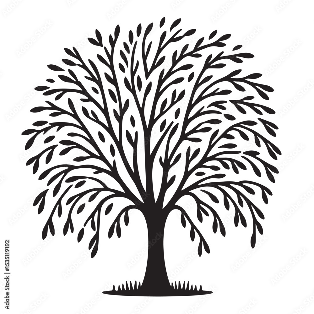 Obraz premium Willow Tree 
