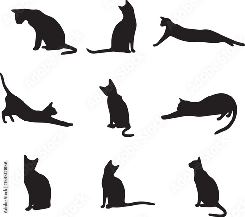 Elegant Cat Silhouettes A Collection of Poses 