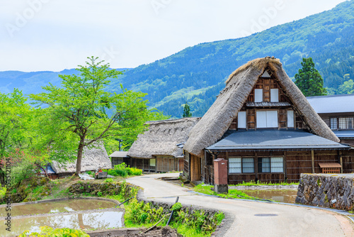 初夏の相倉合掌造り集落　五箇山　富山県南砺市　Ainokura Gassho-style Village in early summer. Gokayama. Toyama Prefecture, Nanto City.