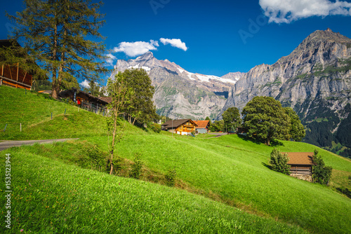 Alpine houses on the slope with picturesque view, Grindelwald, Switzerland