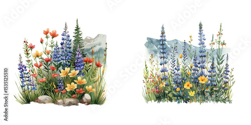 alpine meadow with wildflowers watercolor vector illustration