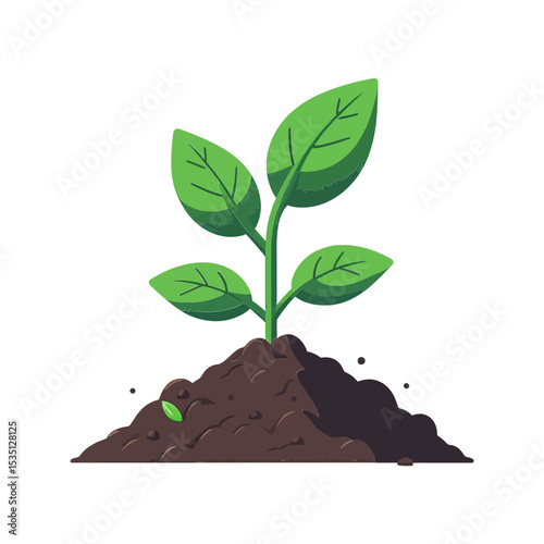A vibrant green seedling sprouting from a mound of rich soil. Ideal for websites/blogs on environmental sustainability, gardening, agriculture, or business growth concepts.

