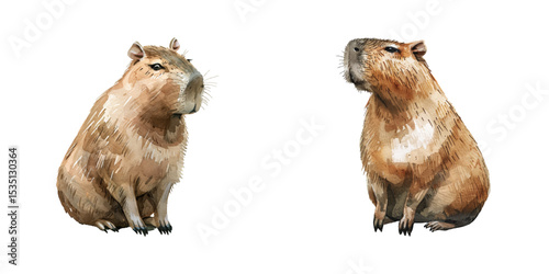 capybara watercolor vector illustration