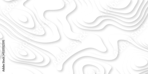 Papercut layers and paper cut topography vector art background banner texture. Abstract white paper cut background with realistic shapes. Modern vector illustration for concept design.