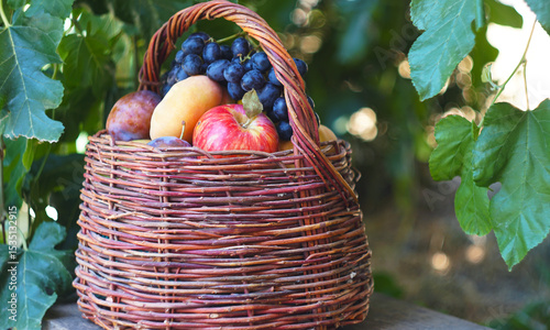 There are various summer fruits in the basket.