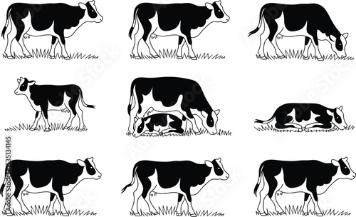 Black and white cow illustrations in various poses grazing and resting on grass