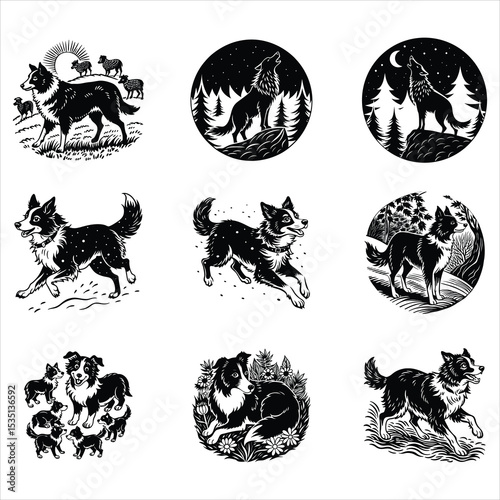 Border Collie Dog Svg 