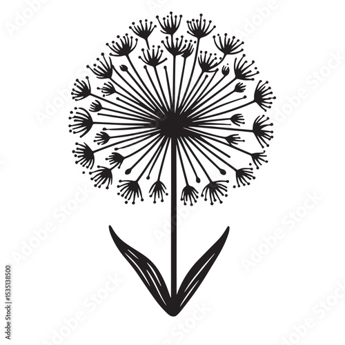 Allium Flower SVG