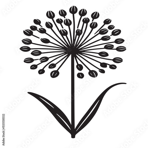 Allium Flower SVG