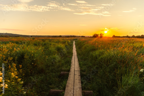 Sunset on the fields