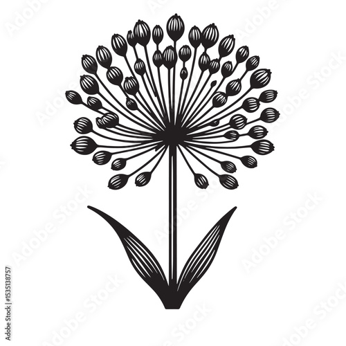Allium Flower SVG