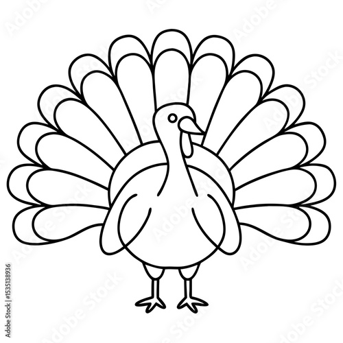 Thanksgiving turkey line art illustration. Detailed drawing of domestic turkey meleagris gallopavo with fanned tail feathers. Simple turkey design perfect for autumn themed cards.