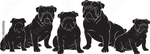 Silhouette of four english bulldogs sitting
