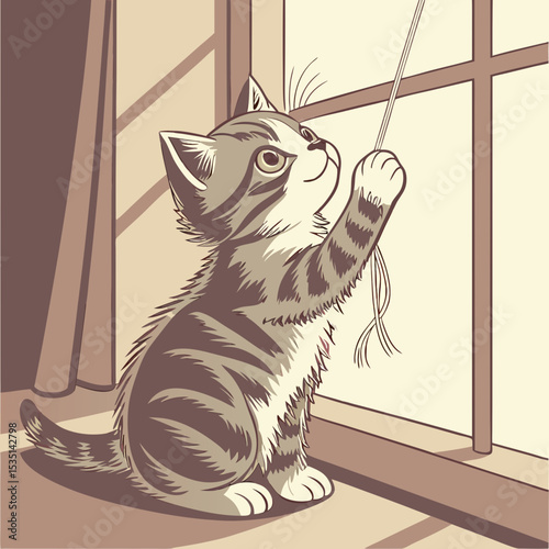 curious cat natural light
