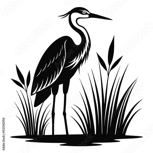 Elegant black and white illustration of a great blue heron standing in reeds
