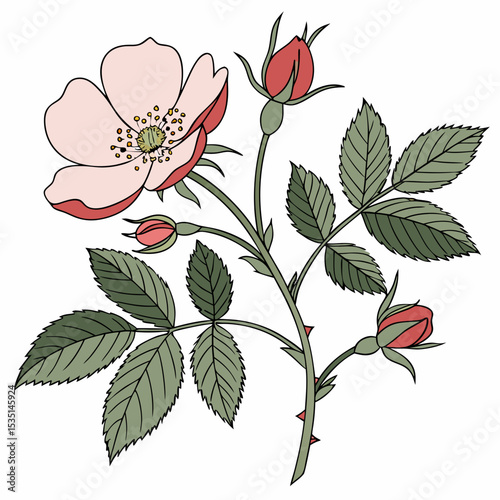 Wild Rose Vector Illustration | Generative AI & Linocut Silhouette Floral Design