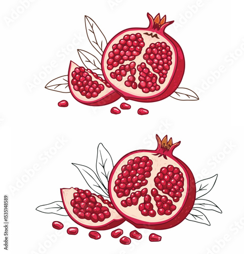 Fresh Pomegranate Fruit Halves and Seeds

