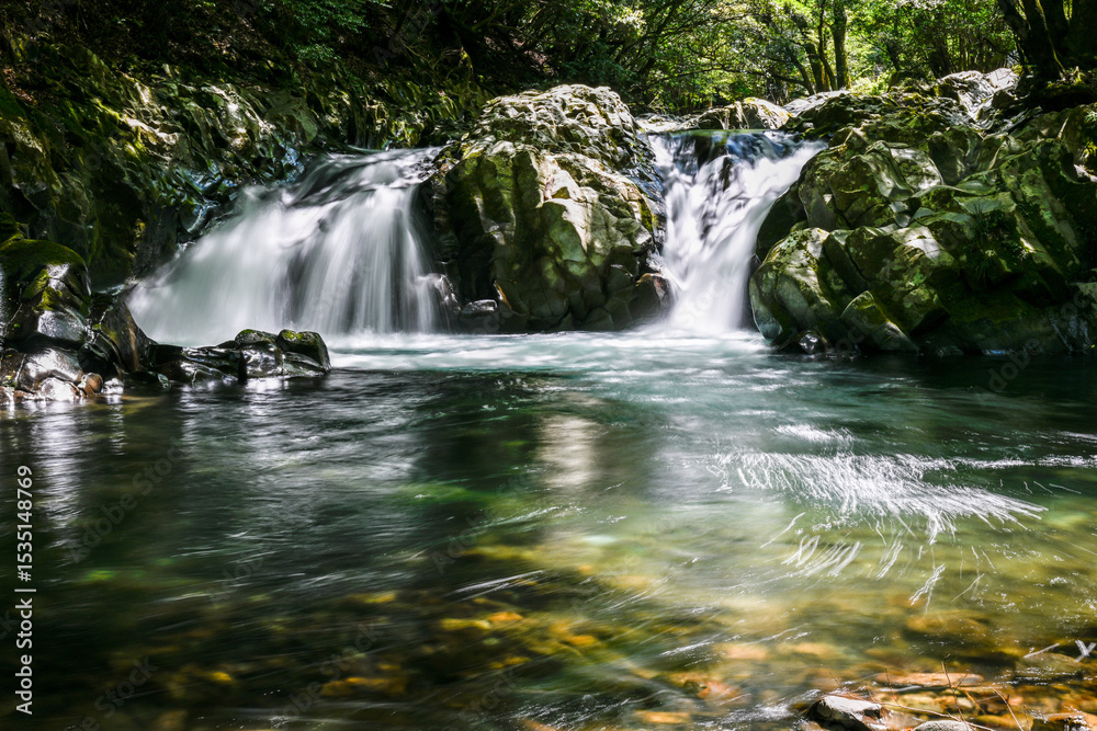 Fototapeta premium 新緑の中の渓流と滝