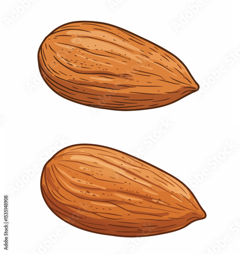 Single Almond Nut Isolated

