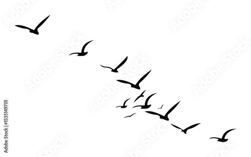 Birds Silhouette Pattern on White Background