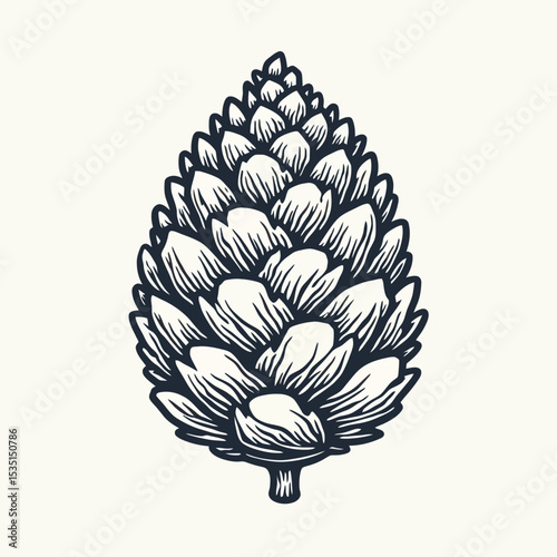 Detailed Line Art Illustration of a Pine Cone