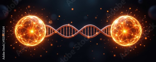 dna model stretching between two glowing spheres, symbolic of connection