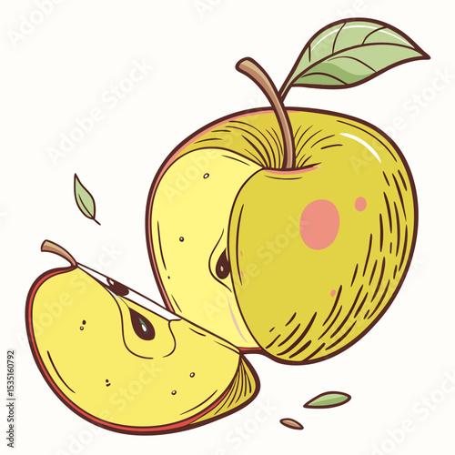 vector illustration of an apple