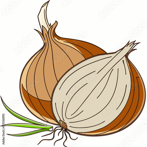 onion on white background