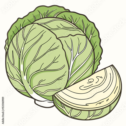 set of cabbage