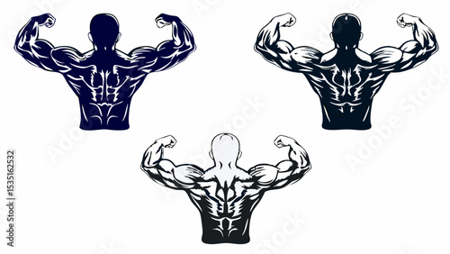 Three bodybuilders flexing their muscles with detailed back definition in different color variations | eps vectors silhouette