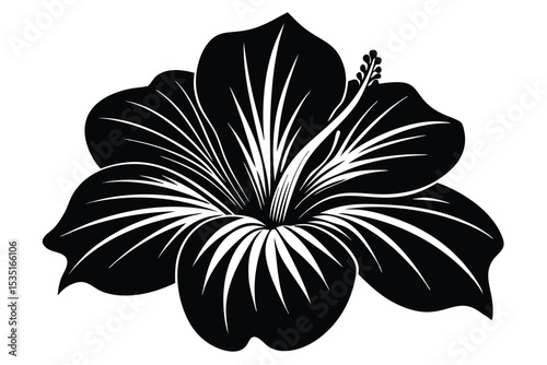 Elegant black and white silhouette of a hibiscus flower in full bloom