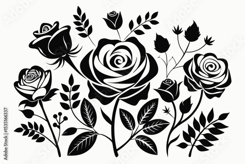 Elegant black rose floral arrangement botanical vector illustration with various rose stages
