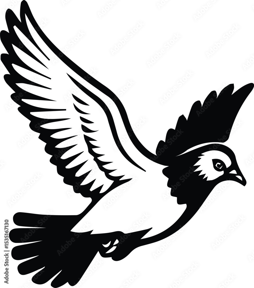 Obraz premium Pigeon bird flying - Dove bird on transparent background