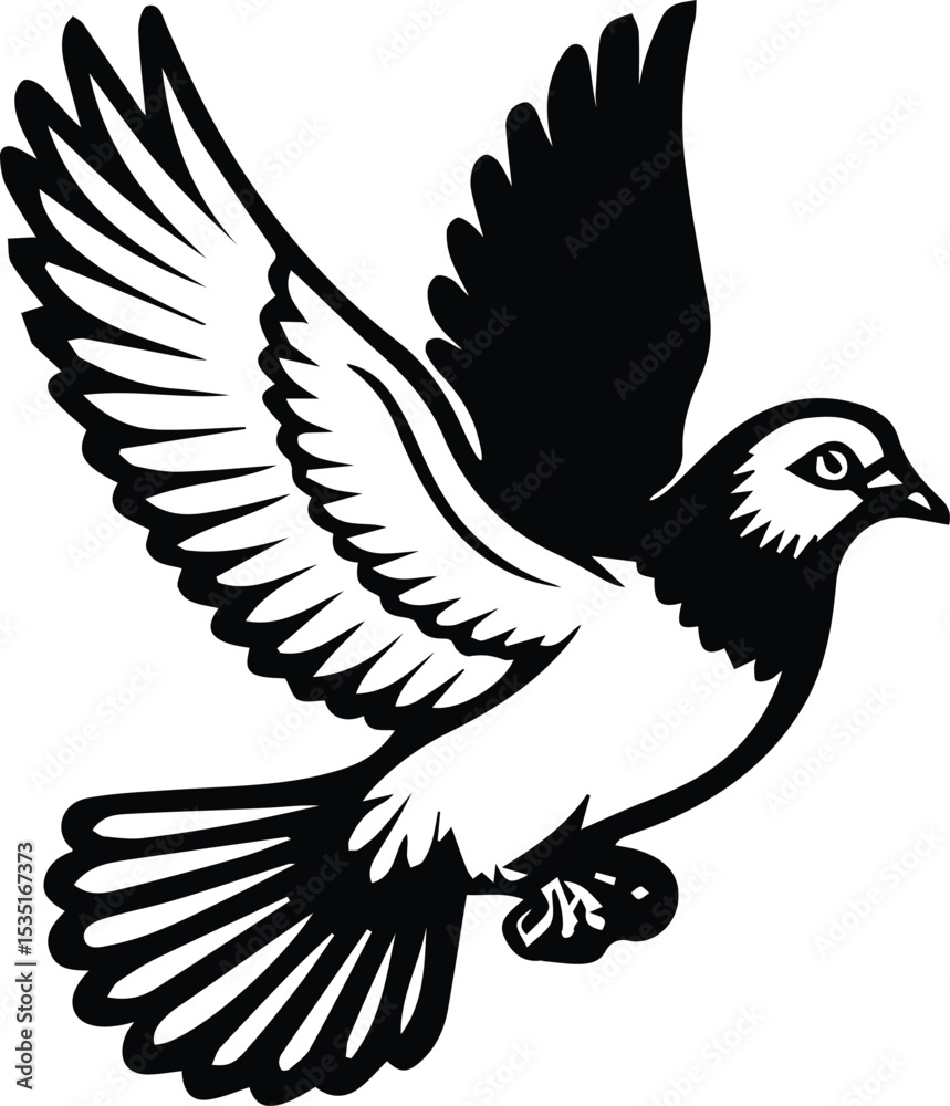 Fototapeta premium Pigeon bird flying - Dove bird on transparent background