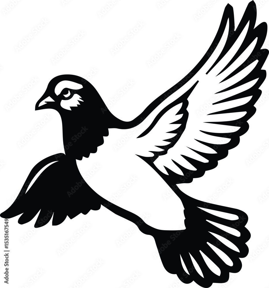 Obraz premium Pigeon bird flying - Dove bird on transparent background