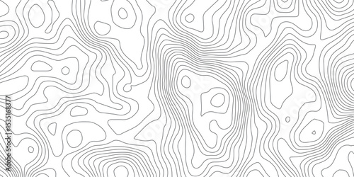 Geometric Contour Lines Map – Abstract Topographic Illustration in Black and White, Ideal for Digital Mapping, UX Design, and Branding.Elegant Topographic Lines Design.