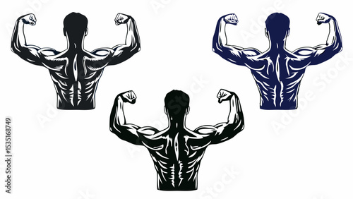 Three stylized illustrations of muscular men flexing their biceps and showing their back muscles off | eps vectors silhouette