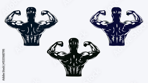 Three muscular men posing with their backs showing their muscles in a vector illustration style image | eps vectors silhouette