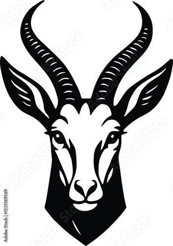 Springbok springbuck antelope head