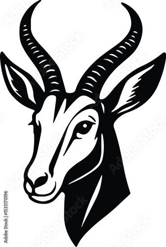 Springbok springbuck antelope head