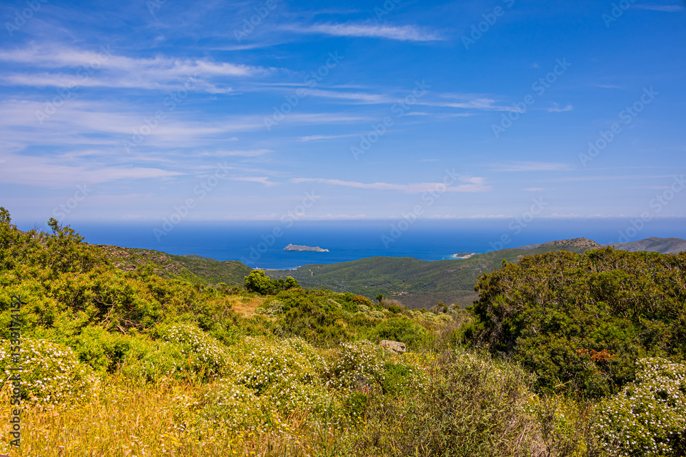 Obraz premium Paysage de maquis depuis les hauteur près du Moulin Mattei à Ersa, sur le Cap Corse en France