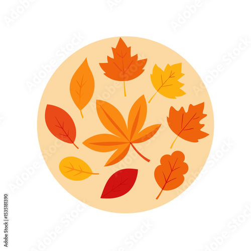 Colorful Autumn Leaves Vector Logo Icon in a Circle