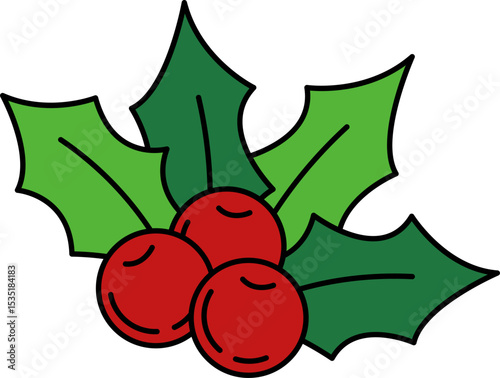 isolate illustration of holly berries