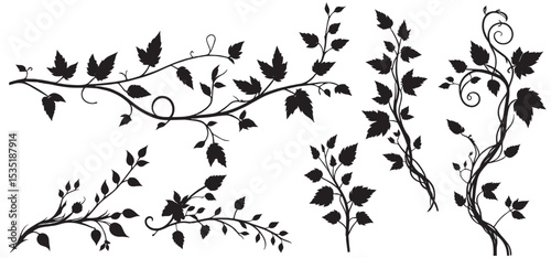 ivy vine design element set, minimalistic vector of leaves,  pretty curving floral design isolated on white background, decorative wedding invitation`