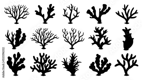 Seaweed silhouettes, coral black icon. Abstract organic shape, underwater plant, matisse element, cute sea doodle.