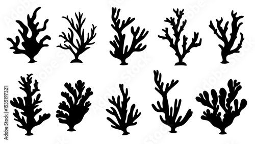 Seaweed silhouettes, coral black icon. Abstract organic shape, underwater plant, matisse element, cute sea doodle.